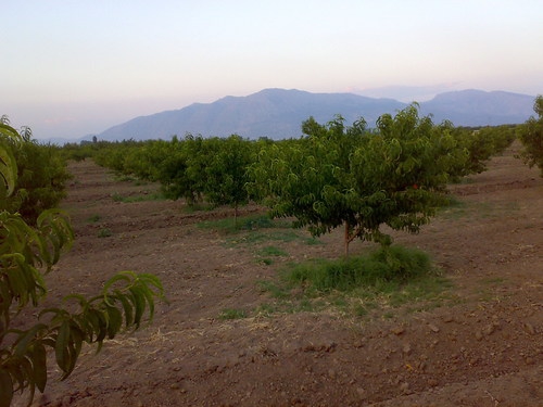 Afyon Evciler Baraklı Köyü Resimleri 2
