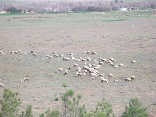 Afyon Evciler Baraklı Köyü Resimleri 33