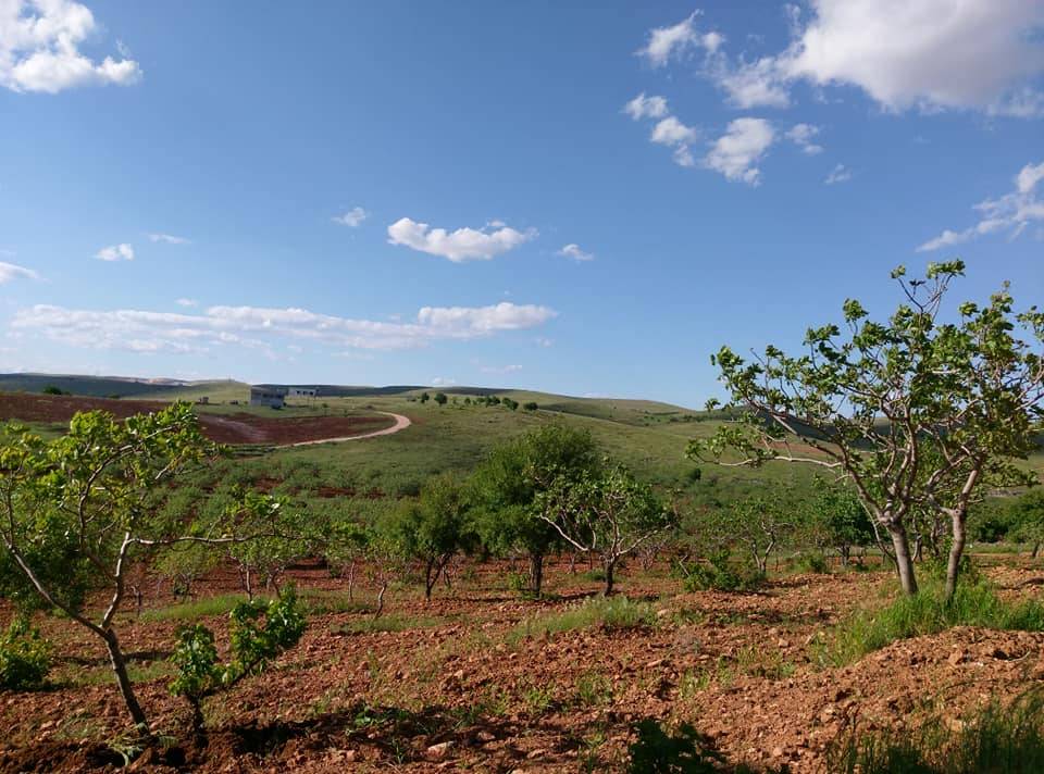 Bozova Seyitören Köyü Resimleri 3