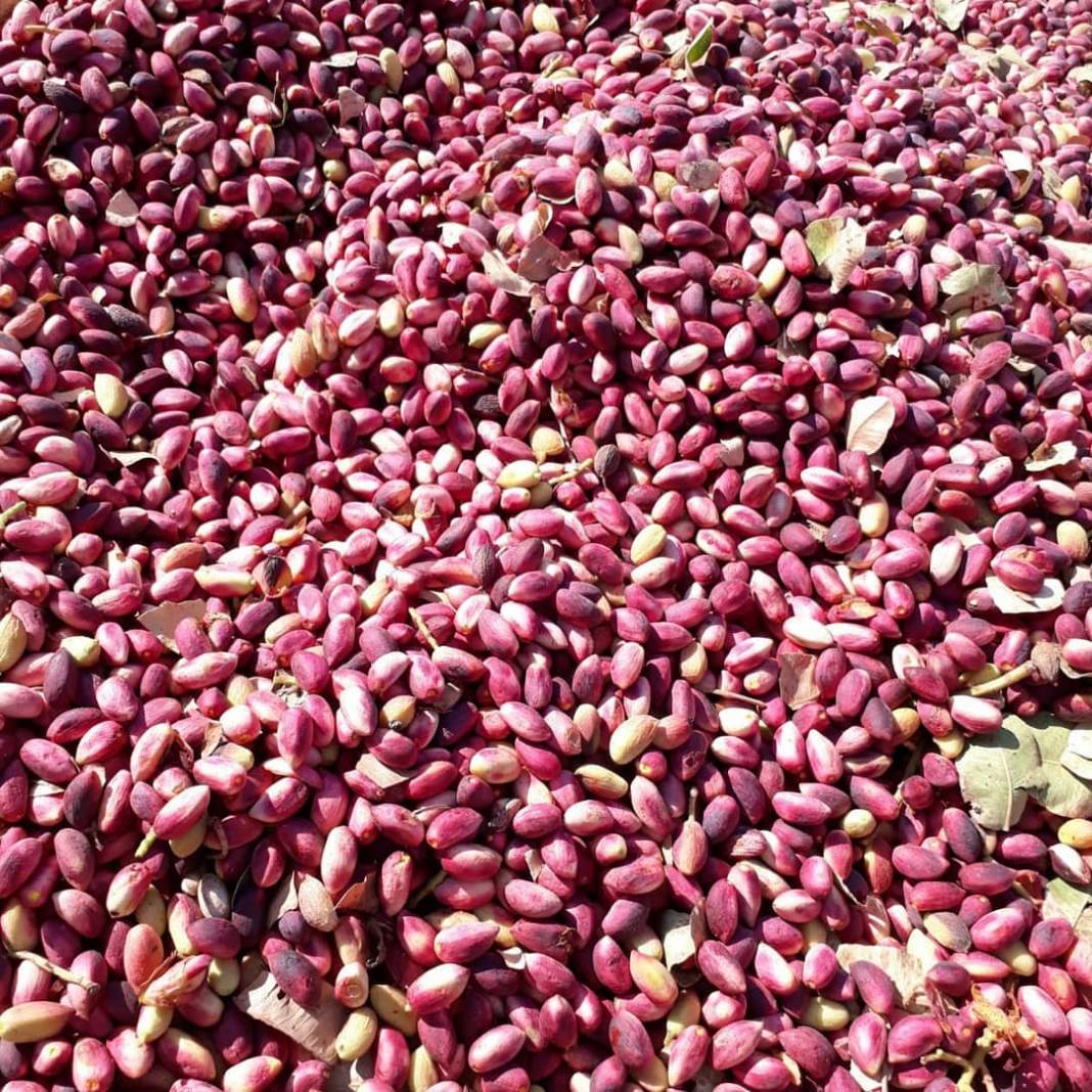 Bozova Sızan Köyü Resimleri 3