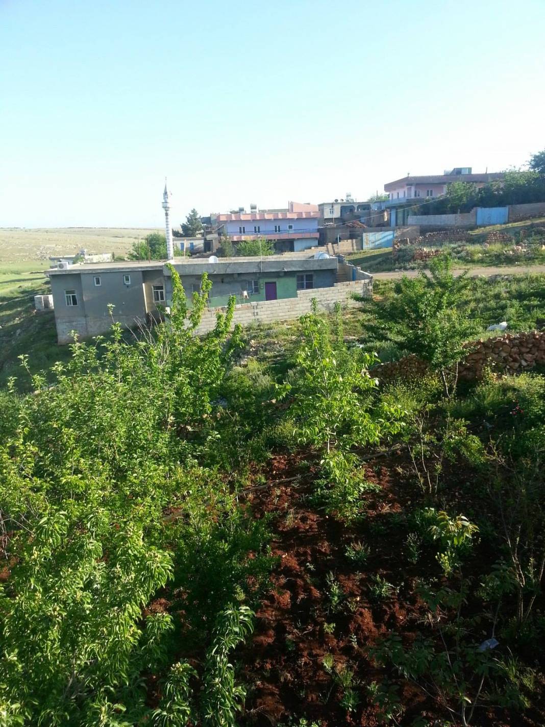 Bozova Söğütlü Köyü Resimleri 1