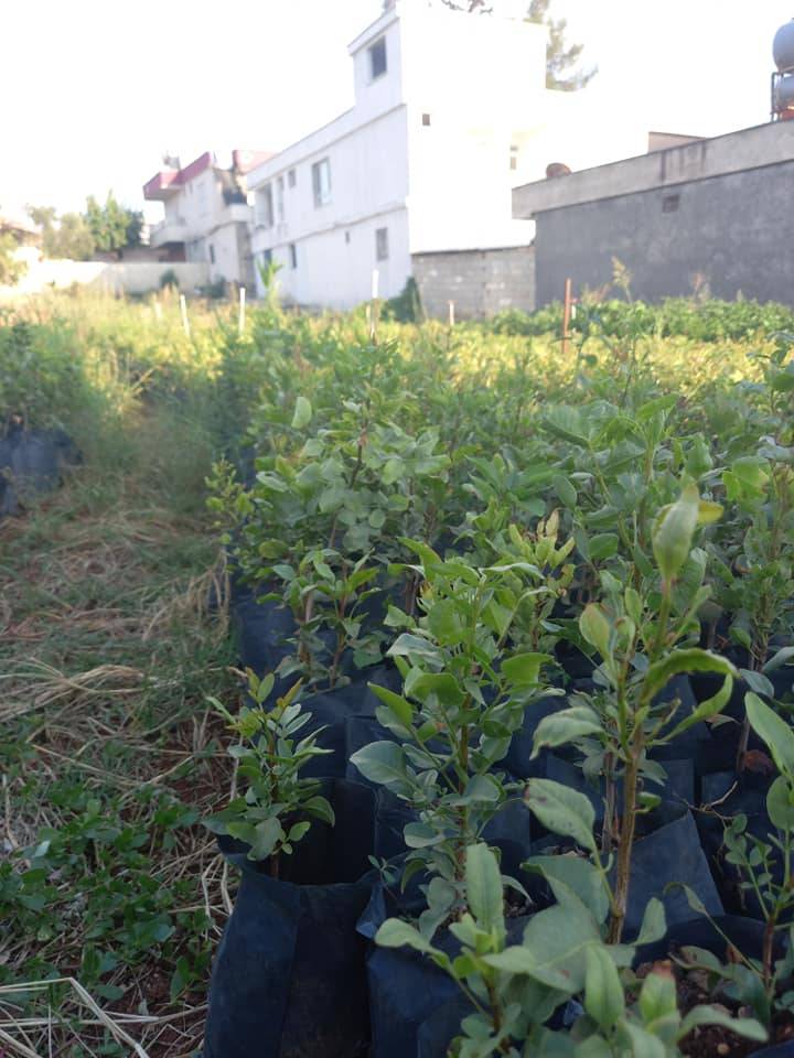 Bozova  Yaslıca Köyü Resimleri 3