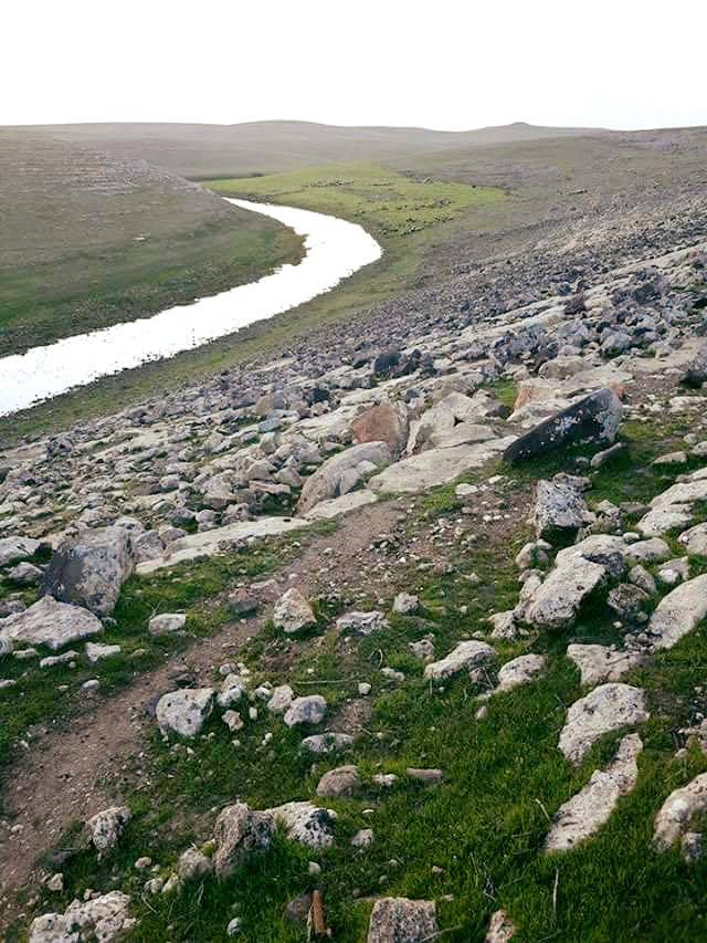 Ceylanpınar Akbulut Köyü Resimleri 1