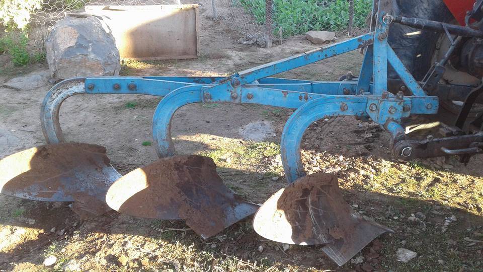 Ceylanpınar Aşağıdurmuş  Köyü Resimleri 1