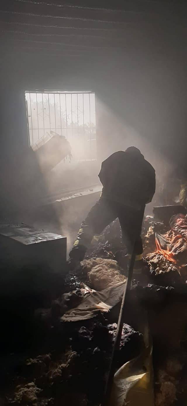 Ceylanpınar Aşağıdurmuş  Köyü Resimleri 4