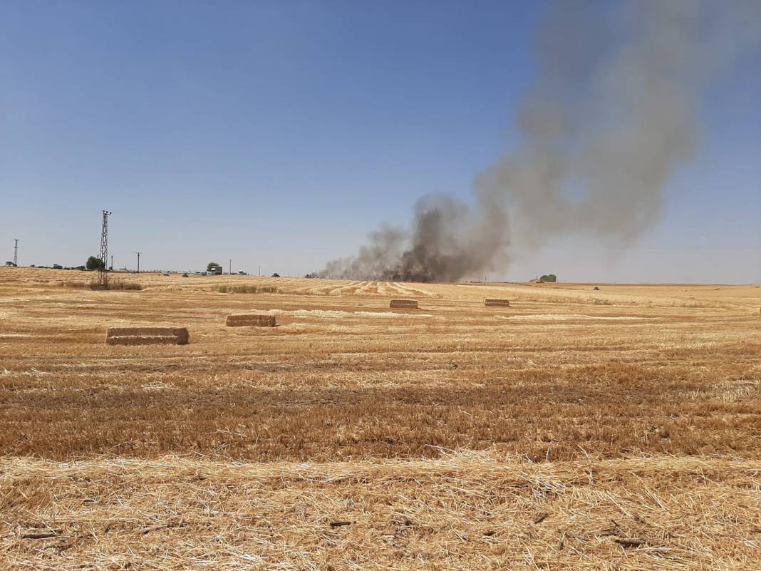 Ceylanpınar Avcılı Köyü Resimleri 1