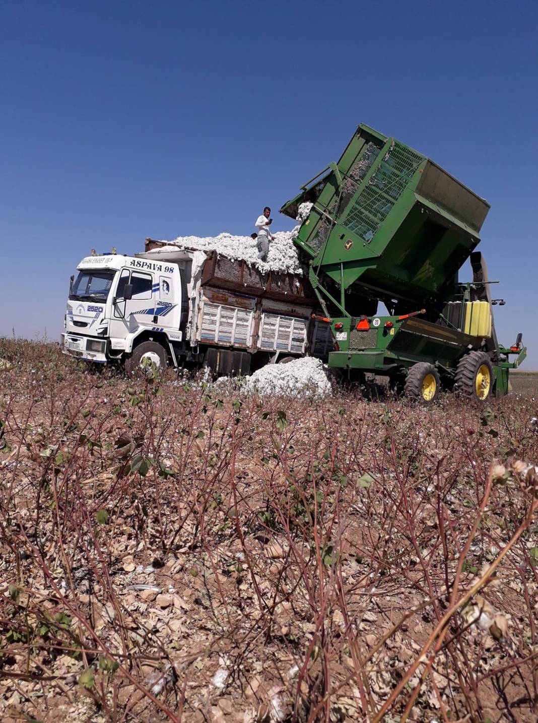 Ceylanpınar Boğalı  Köyü Resimleri 2