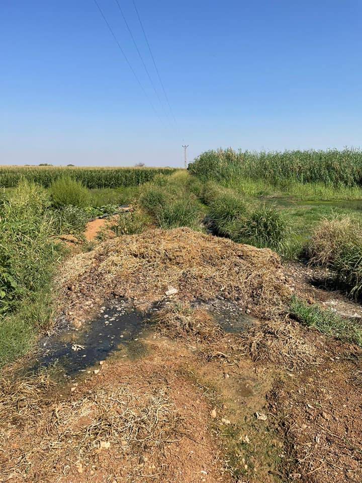 Ceylanpınar Düzova Köyü Resimleri 2