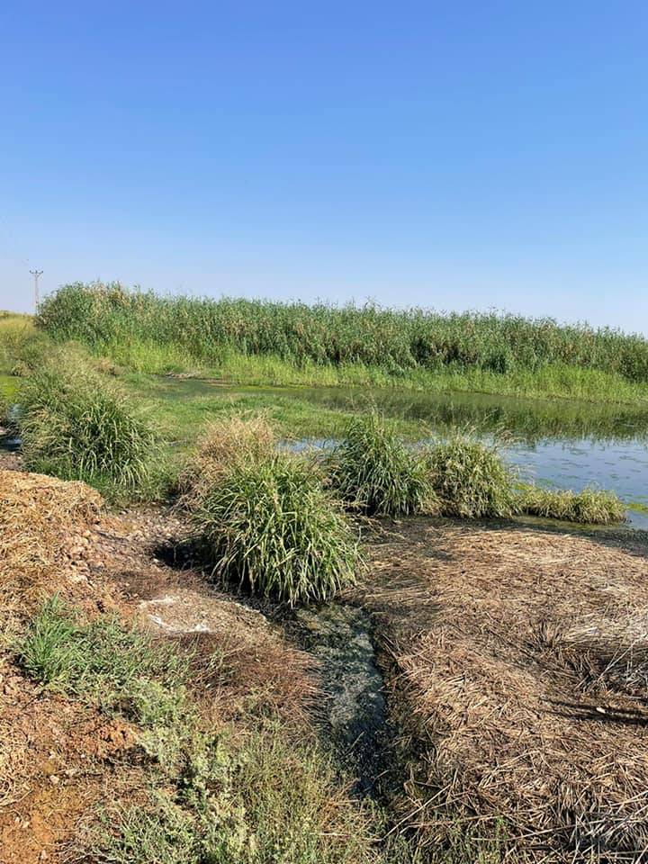 Ceylanpınar Düzova Köyü Resimleri 4