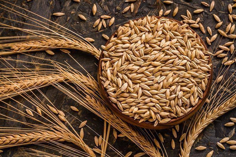 Ceylanpınar Işıklar  Köyü Resimleri 2