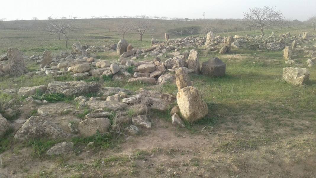 Ceylanpınar Maden Köyü Resimleri 1