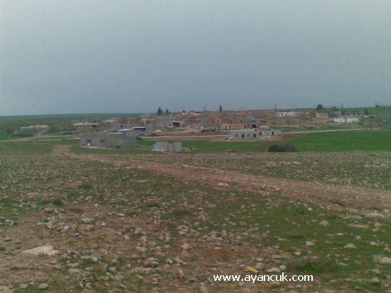 Ceylanpınar Tekinler Köyü Resimleri 1