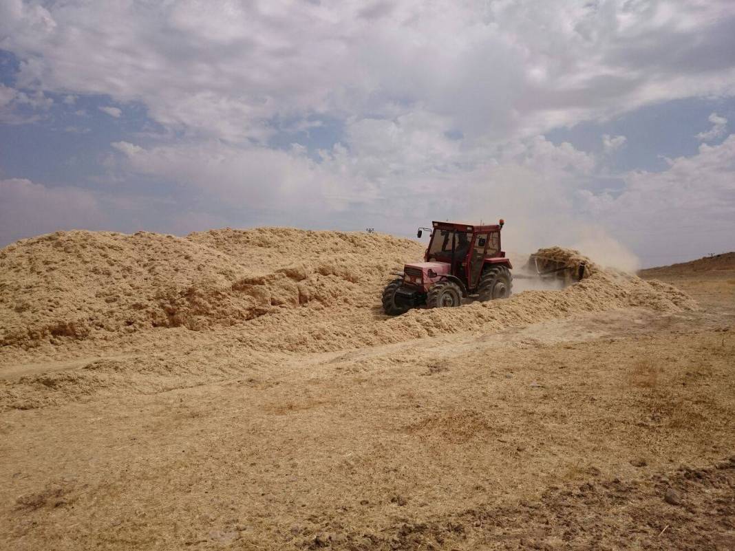 Ceylanpınar Yeşiltepe Köyü Resimleri 4