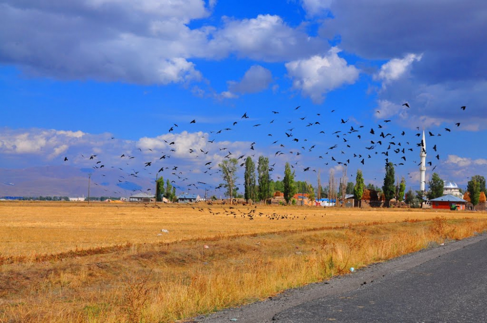 Aziziye Yarımca Köyü Resimleri 3