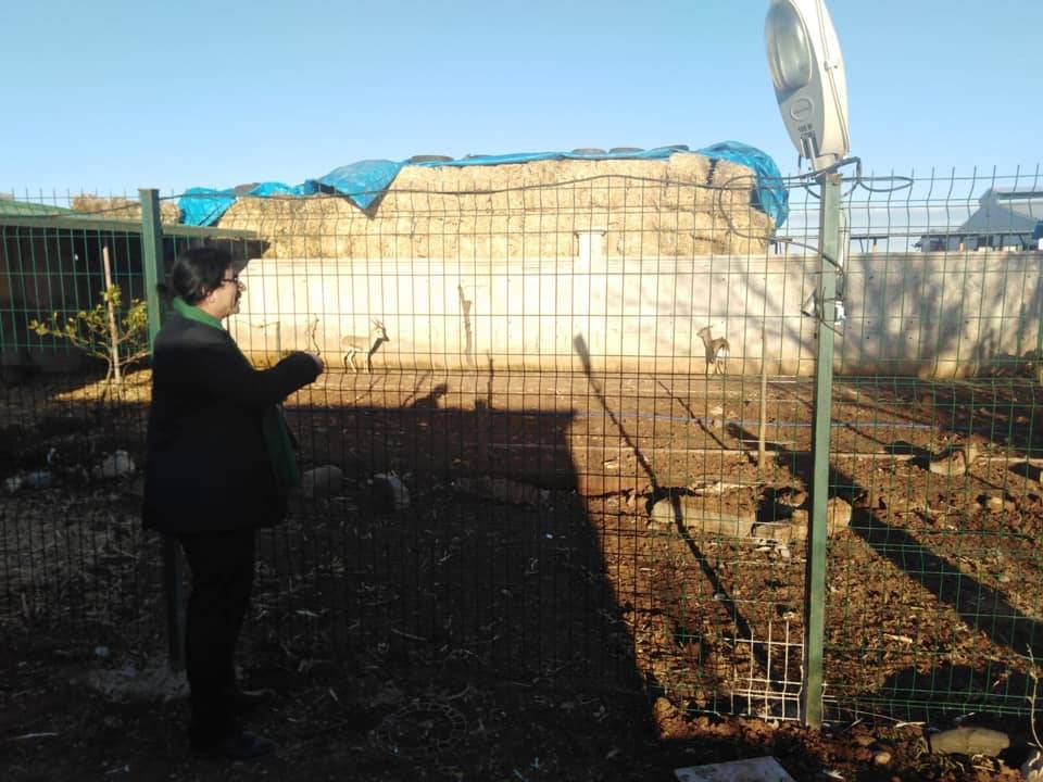 Eyyübiye Akçamescit Köyü Resimleri 2