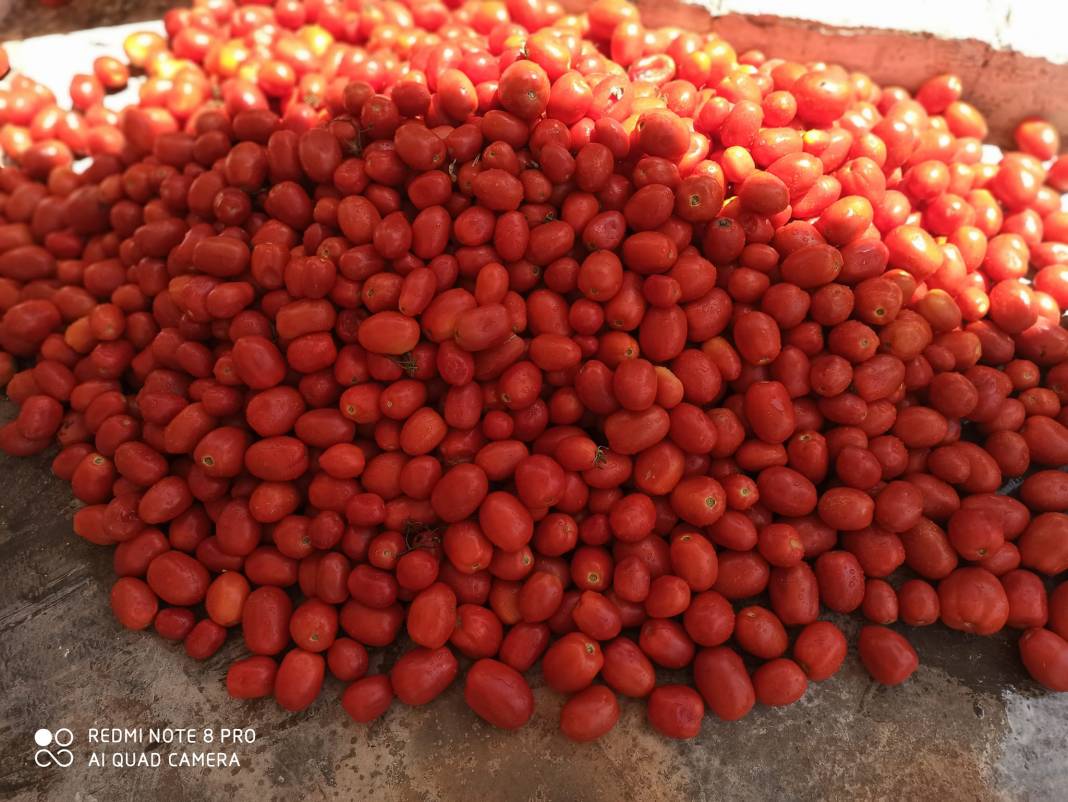 Eyyübiye Akdilek Köyü Resimleri 3