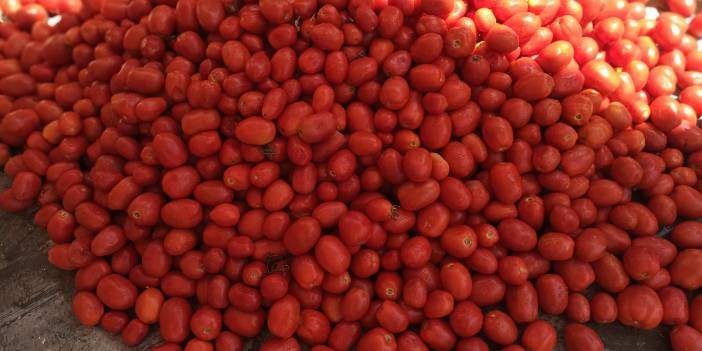 Eyyübiye Akdilek Köyü Resimleri