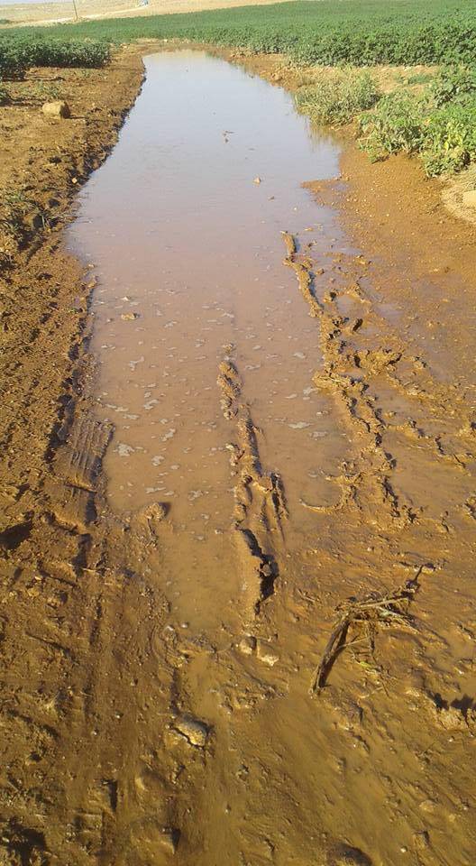 Eyyübiye Aşağıkoçlu Köyü Resimleri 2