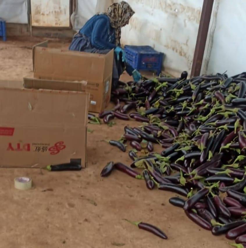 Eyyübiye Bakırtaş Köyü Resimleri 2