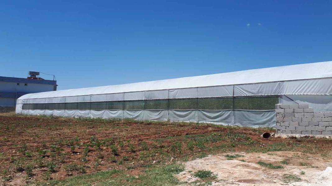 Eyyübiye Bayraklı Köyü Resimleri 3