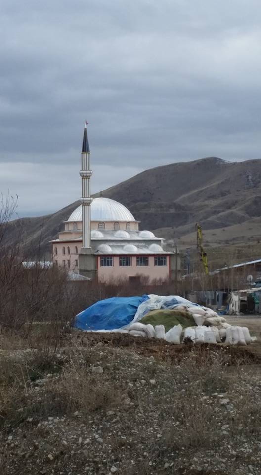 Aziziye Yoncalık  Köyü Resimleri 5