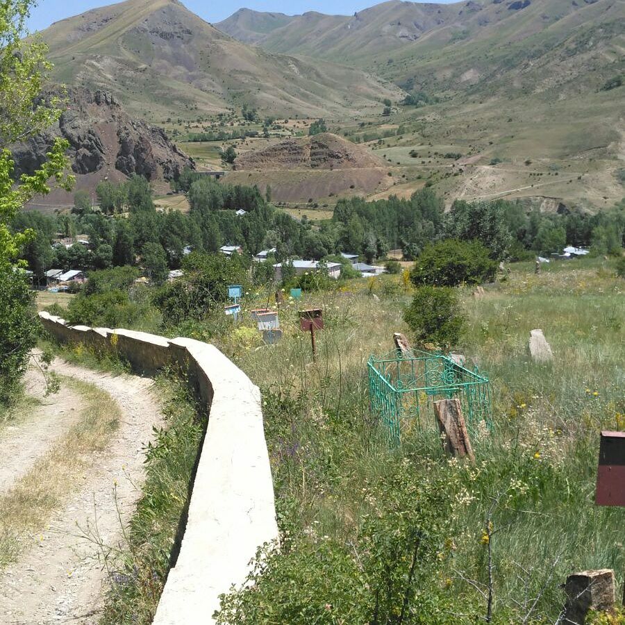 Aziziye Yoncalık  Köyü Resimleri 7