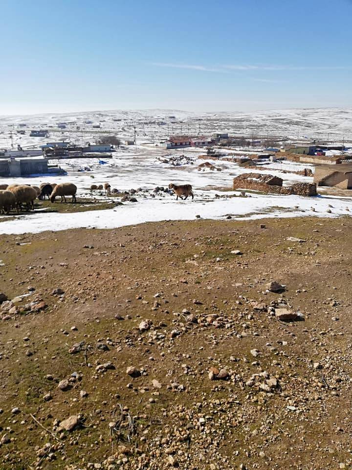 Eyyübiye Büyükotluca Köyü Resimleri 3