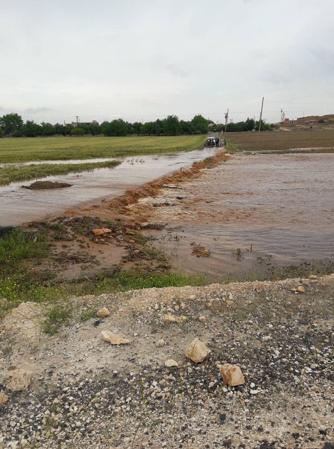 Eyyübiye Dilimli Köyü Resimleri 1