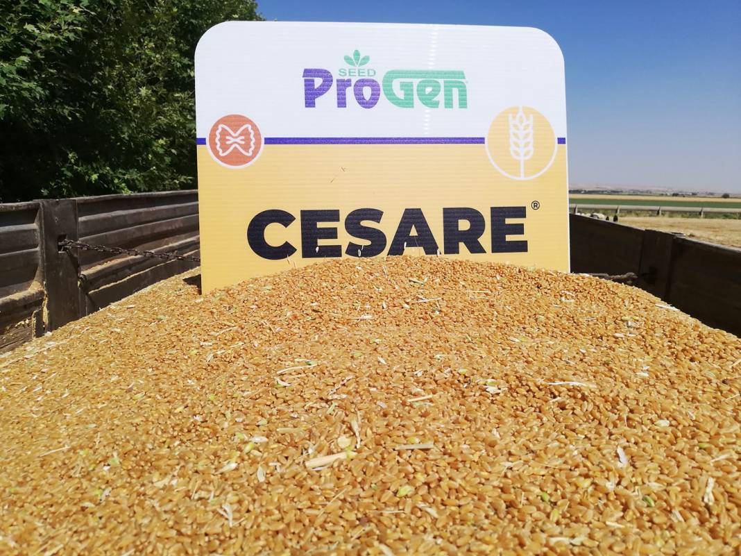 Eyyübiye Dolutepe Köyü Resimleri 3