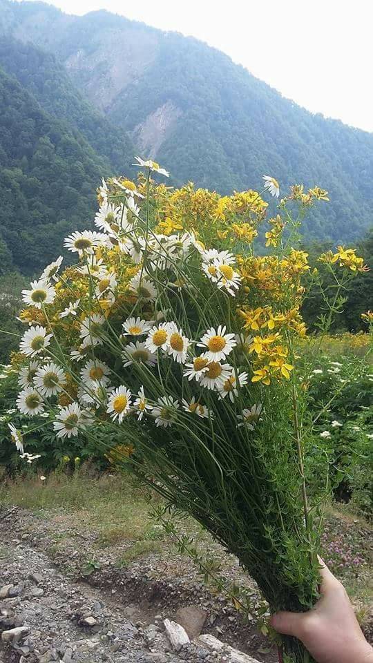 Eyyübiye Duruca Köyü Resimleri 2