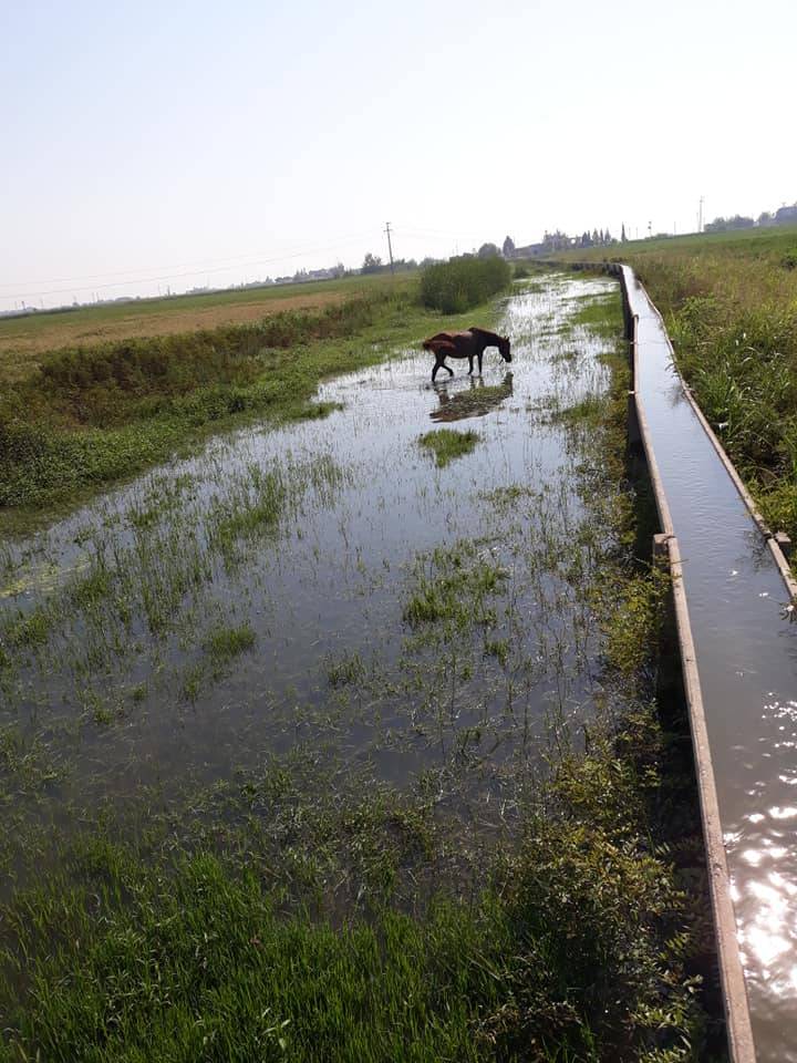 Eyyübiye Gözeller Köyü Resimleri 3