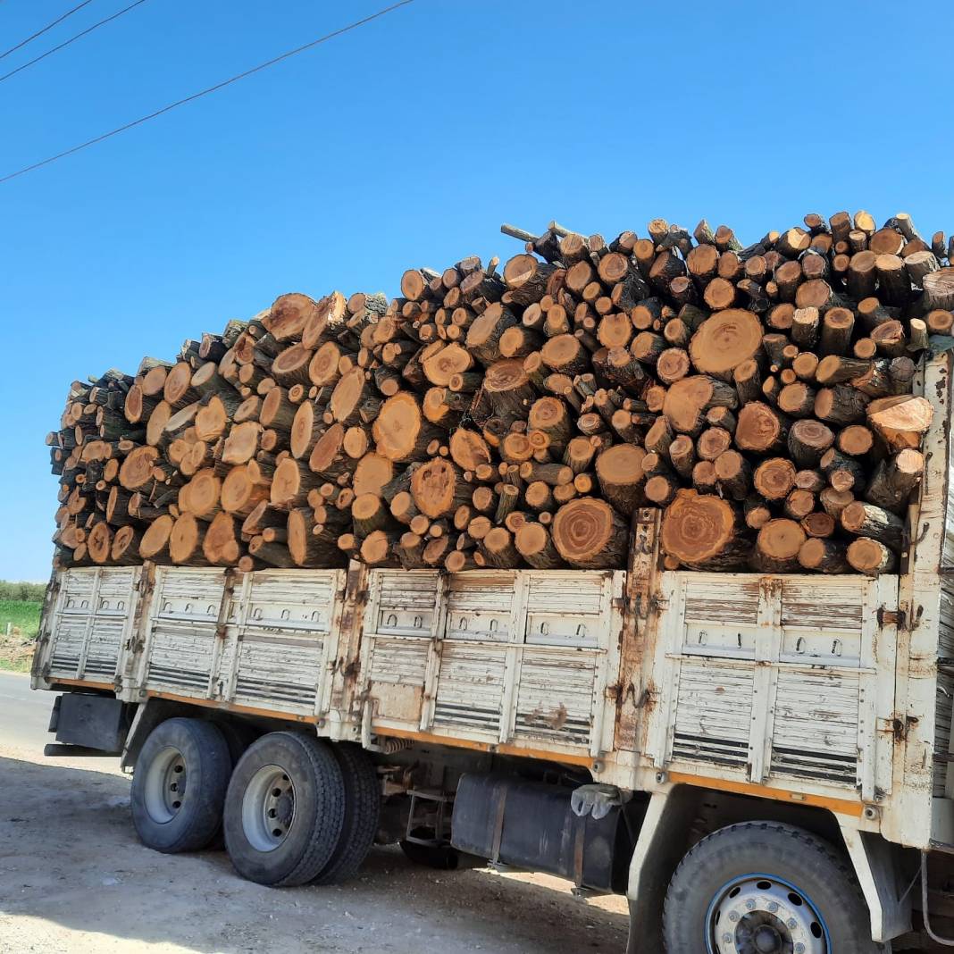 Eyyübiye Günbalı Köyü Resimleri 2