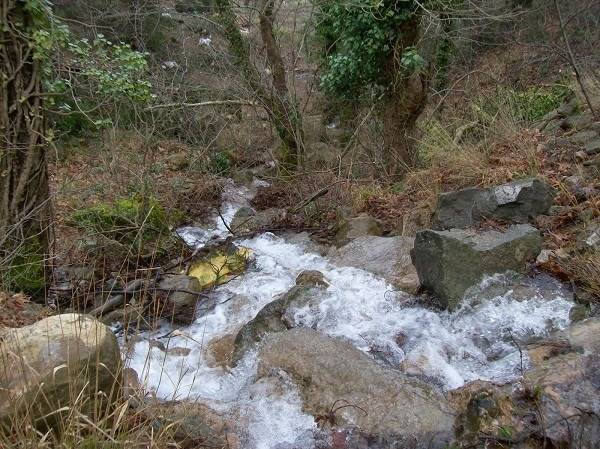 Eyyübiye Güneş Köyü  Resimleri 3