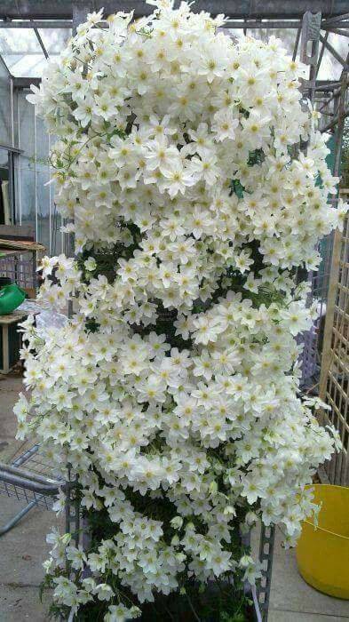 Eyyübiye Güneş Köyü  Resimleri 4