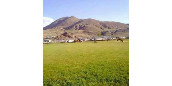 Eyyübiye Güngören Köyü Resimleri