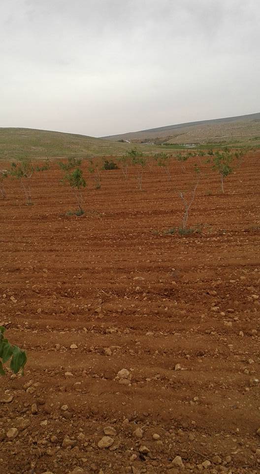 Eyyübiye Güzelkuyu Köyü Resimleri 2