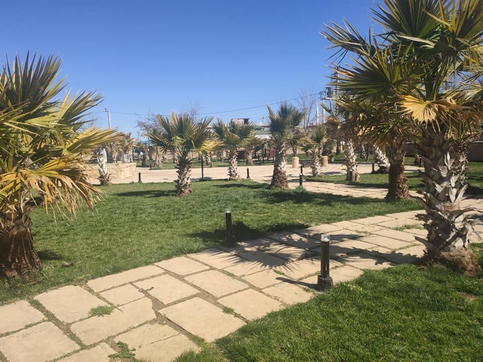 Eyyübiye Hayatiharrani Köyü Resimleri 2