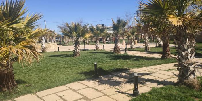 Eyyübiye Hayatiharrani Köyü Resimleri