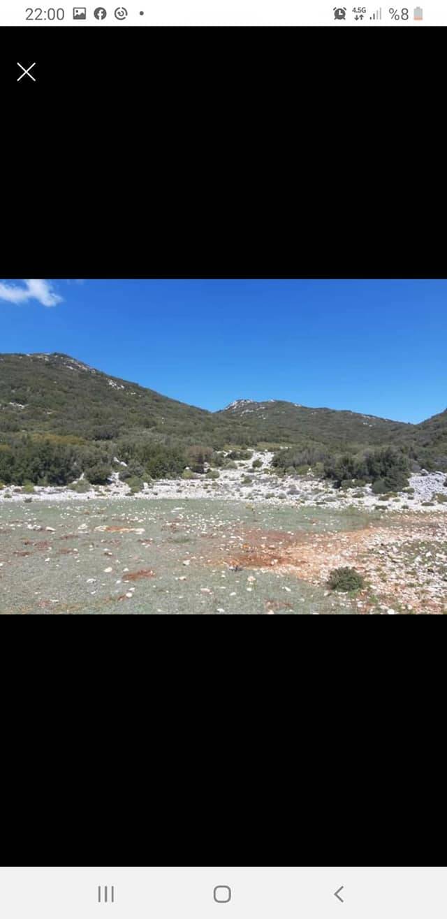 Eyyübiye İkizce Köyü Resimleri 1