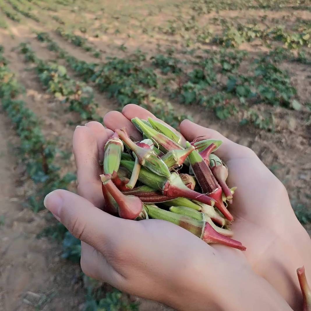 Eyyübiye Kınalı Köyü Resimleri 3