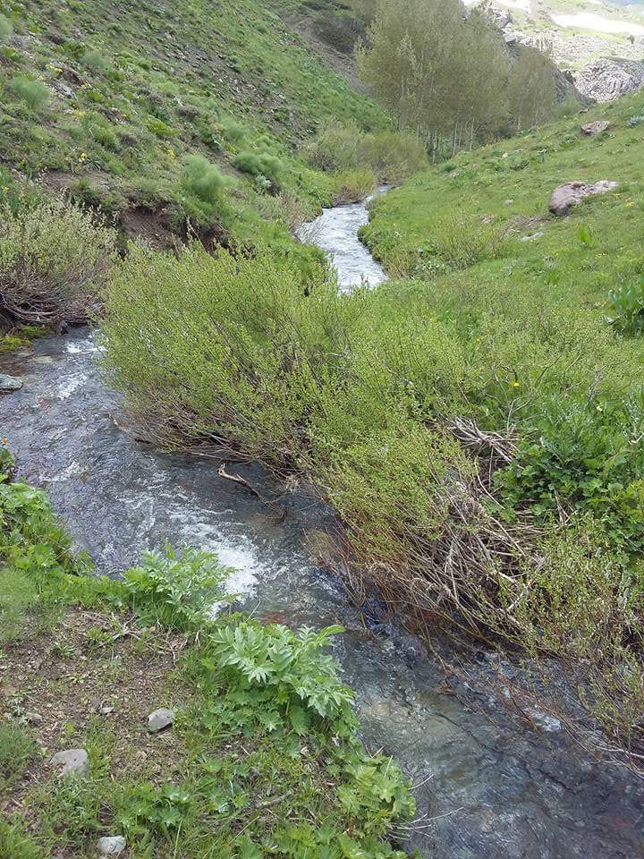 Çat Bardakçı Köyü Resimleri 6