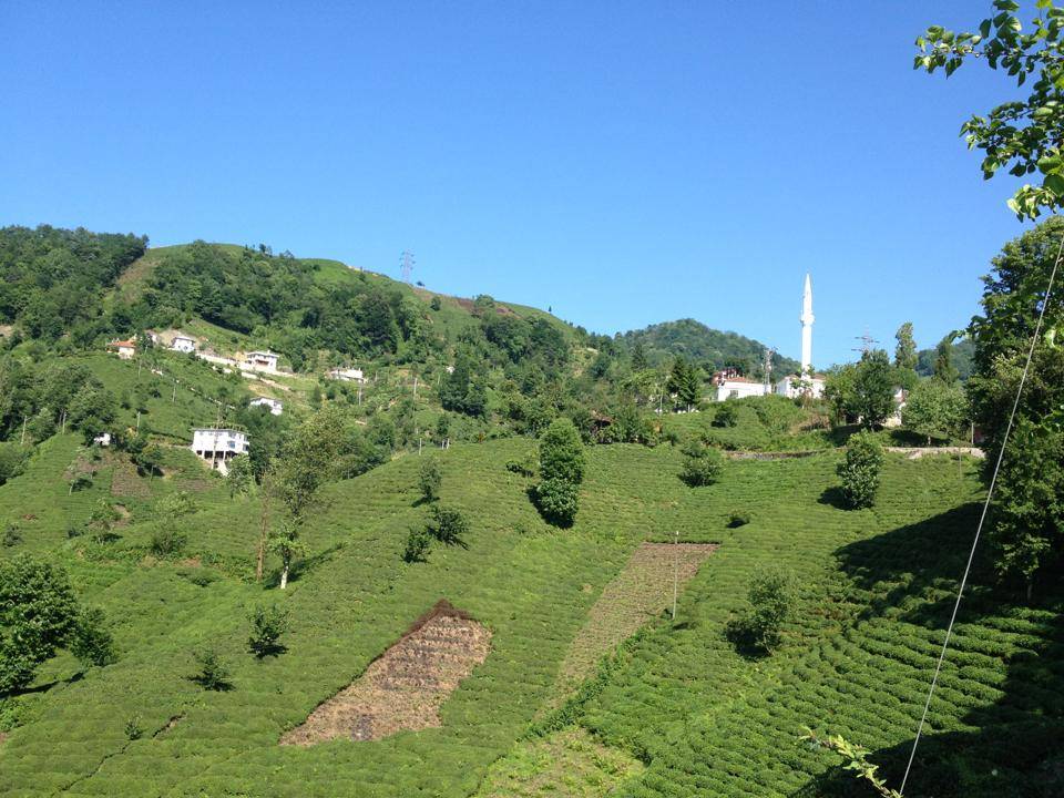 Eyyübiye Kurtuluş Köyü Resimleri 1
