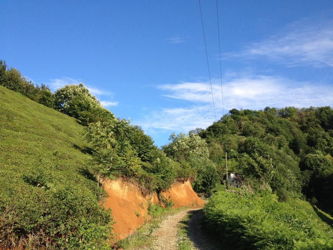 Eyyübiye Kurtuluş Köyü Resimleri 2