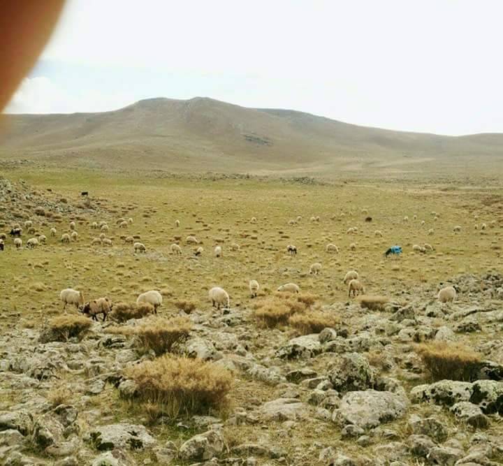 Eyyübiye Küçükhan  Köyü Resimleri 2