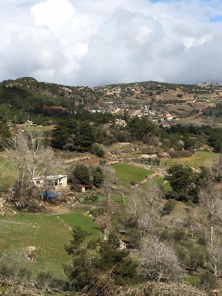 Eyyübiye Olgunlar Köyü Resimleri 3