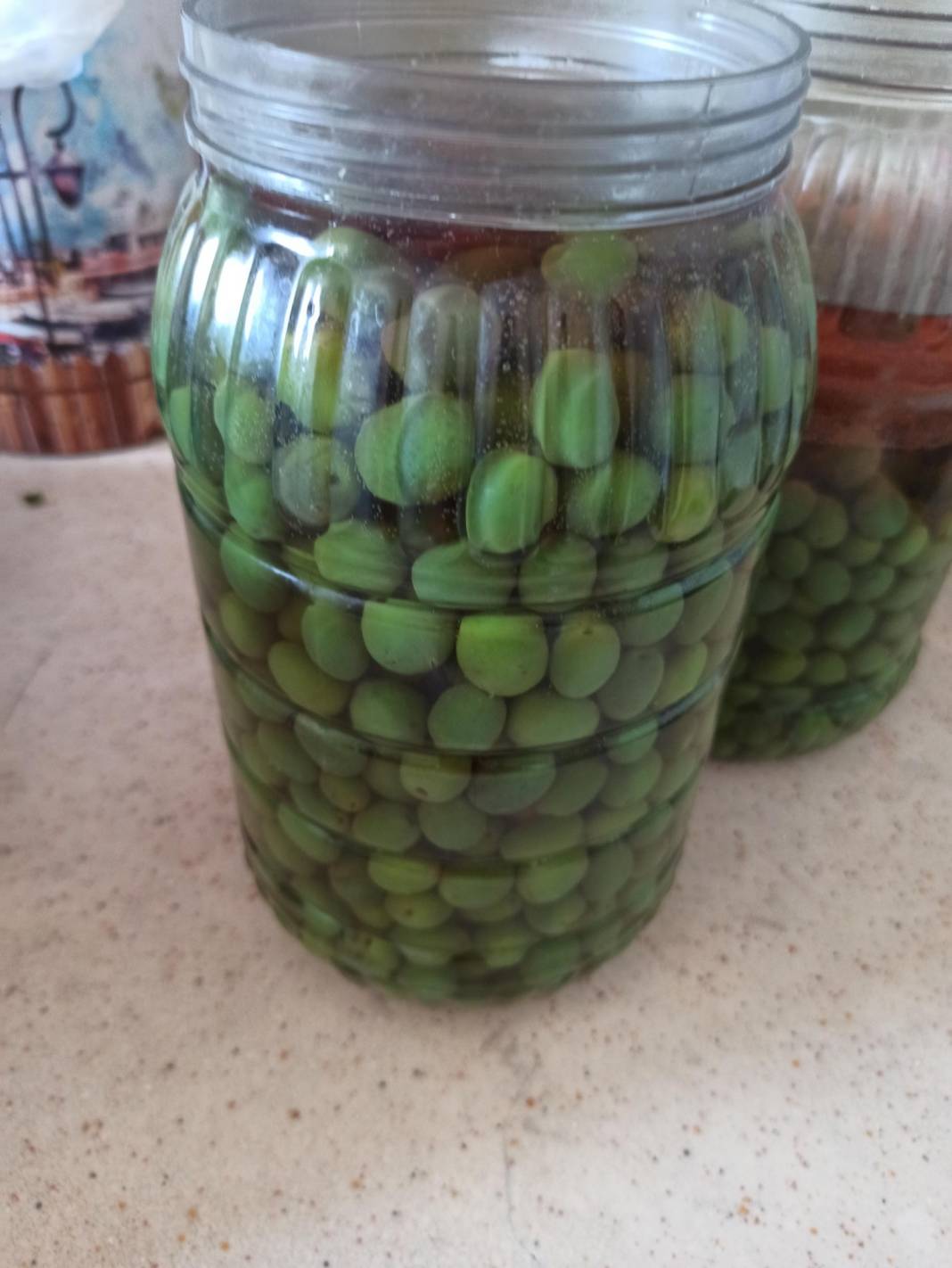 Eyyübiye Olgunlar Köyü Resimleri 4