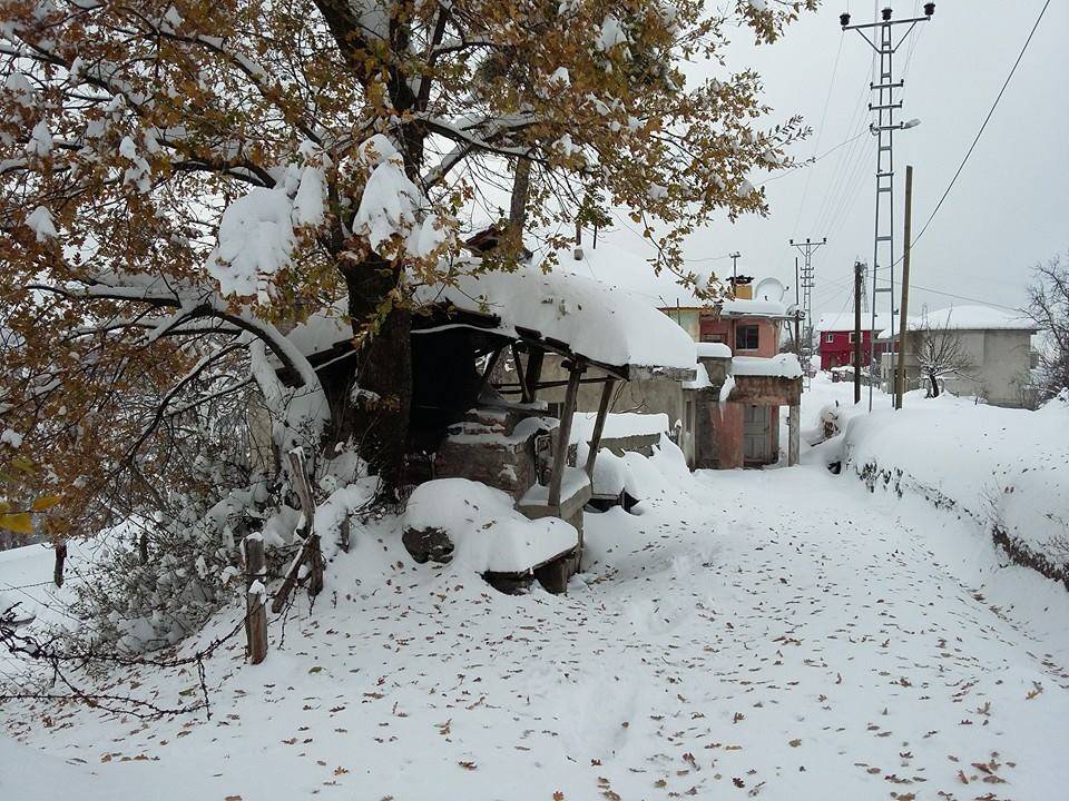 Eyyübiye Olukyanı Köyü Resimleri 2