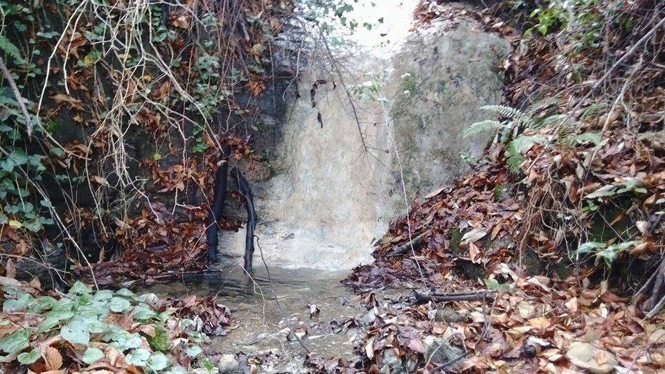 Eyyübiye Olukyanı Köyü Resimleri 3