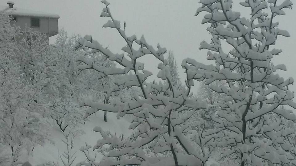 Eyyübiye Olukyanı Köyü Resimleri 4
