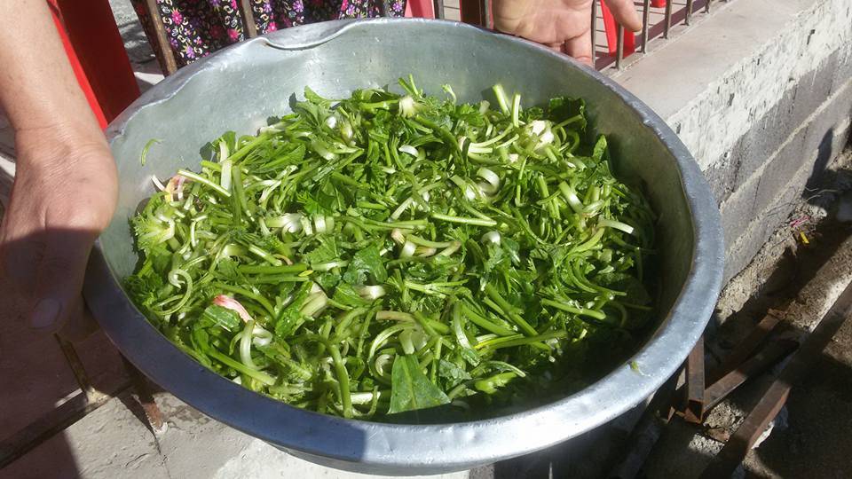 Eyyübiye Onikiler Köyü Resimleri 1